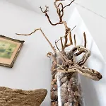 Apartment Traditional House Inside Filoti, Naxos