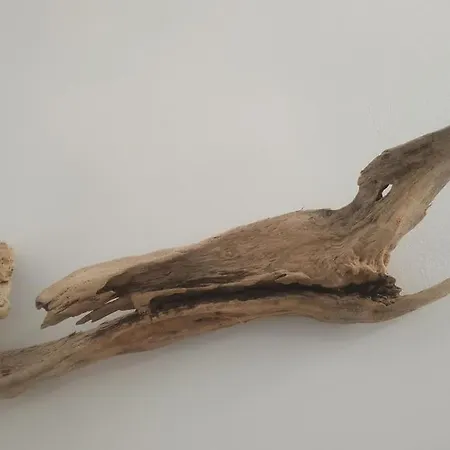 Traditional House Inside Filoti, Naxos Διαμέρισμα