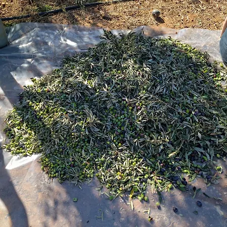 Διαμέρισμα Traditional House Inside Filoti, Naxos *