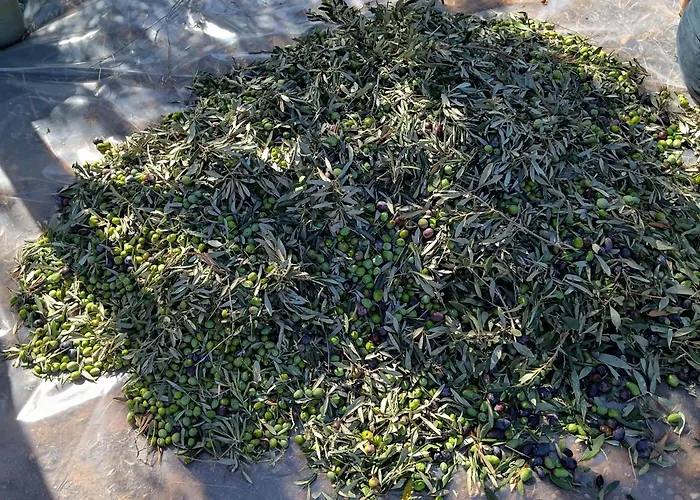 Lägenhet Traditional House Inside Filoti, Naxos *