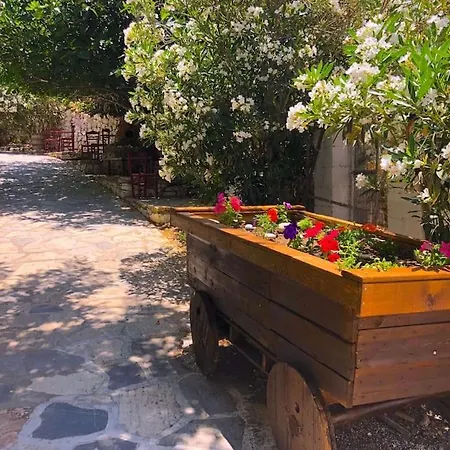 Apartment Traditional House Inside Filoti, Naxos