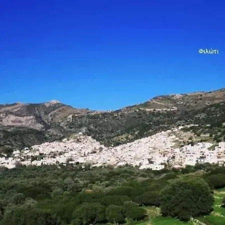 Apartment Traditional House Inside Filoti, Naxos *