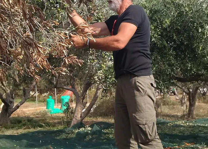 Traditional House Inside Filoti, Naxos Apartment *