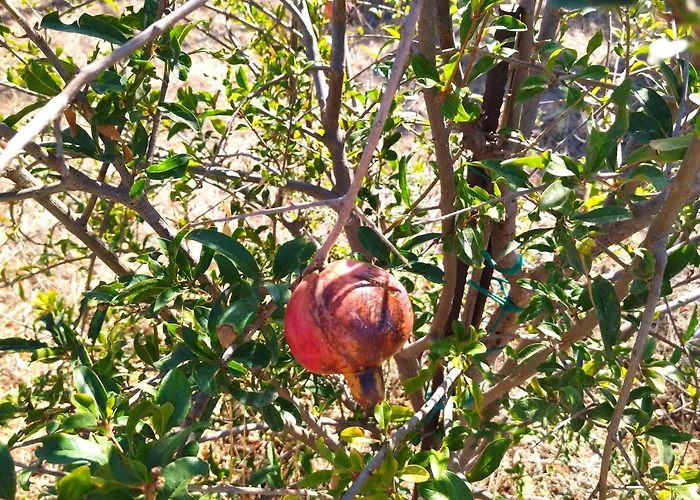 Traditional House Inside Filoti, Naxos * Filotion